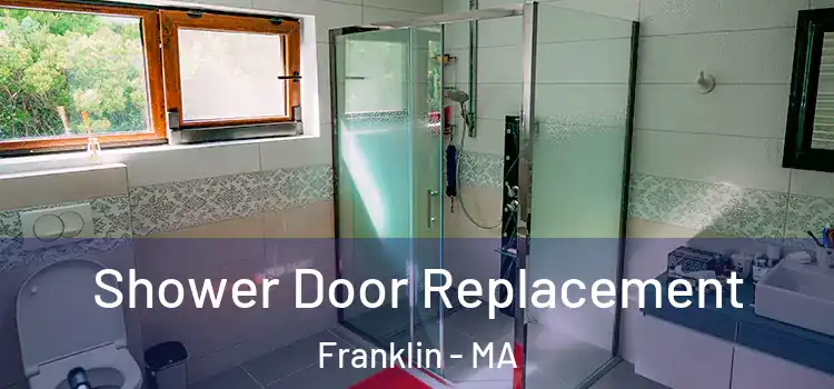 Shower Door Replacement Franklin - MA